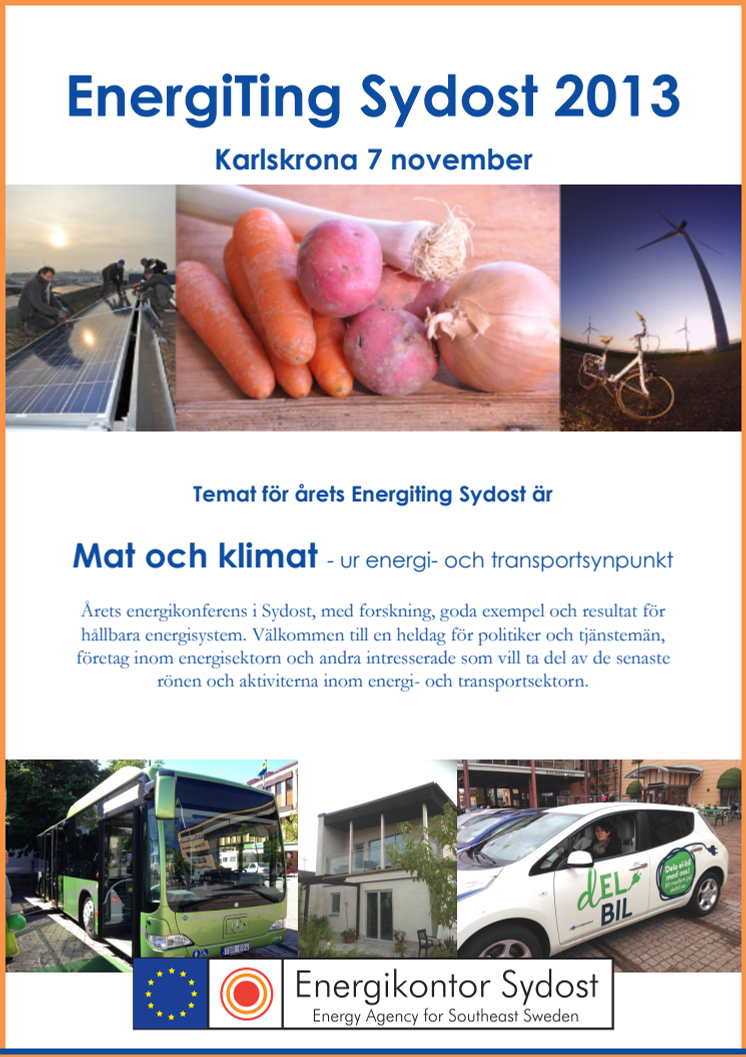 Program för EnergiTing Sydost 2013