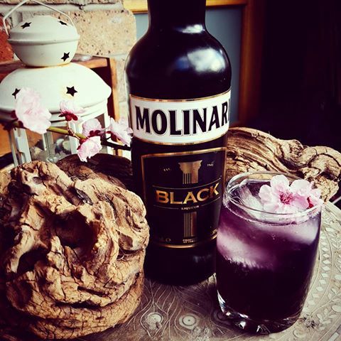 Molinari Black drinkbild