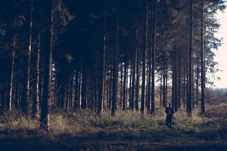 Bossetrees_foto by_adam jandrup_small