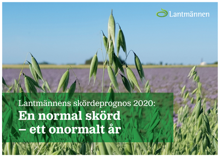 Lantmännens skördeprognos 2020