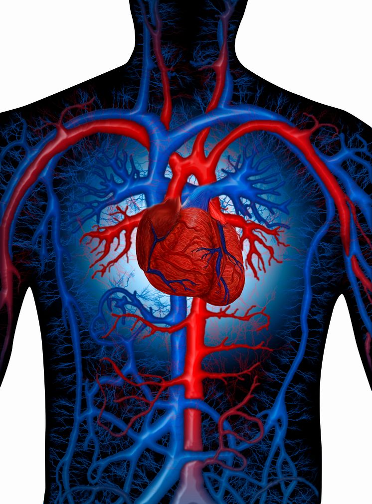 Enhanced_cardiovascular_system