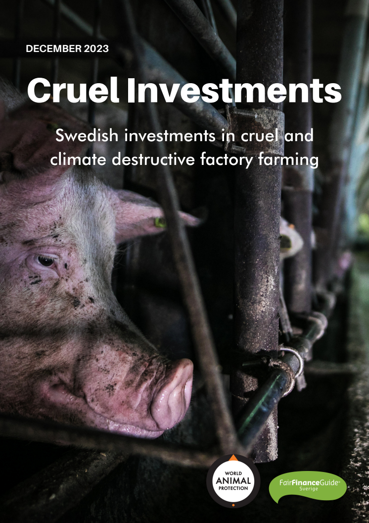 Rapport Cruel Investments