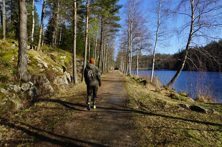 Vandring intill Bjursjön