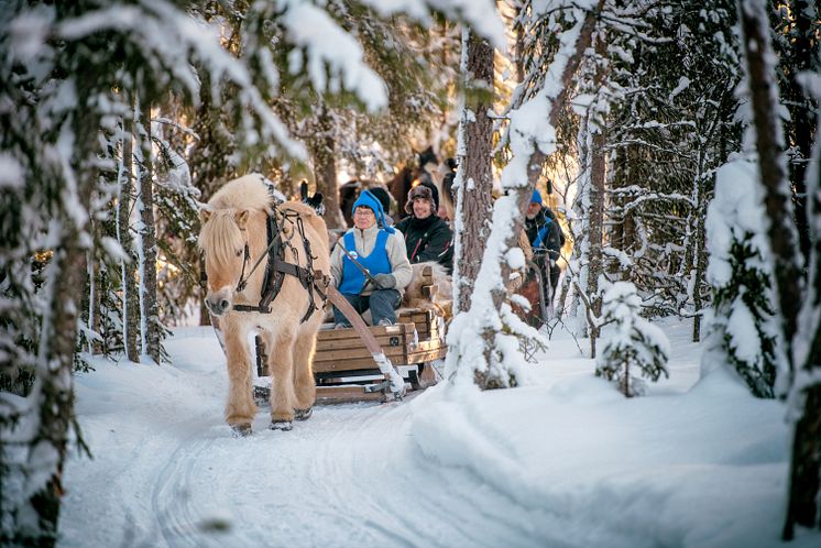 Utendørsopplevelser i Trysil