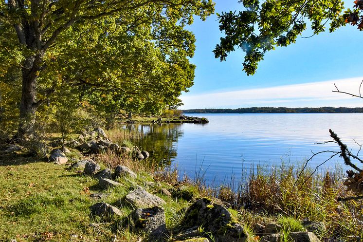 Skärva naturreservat