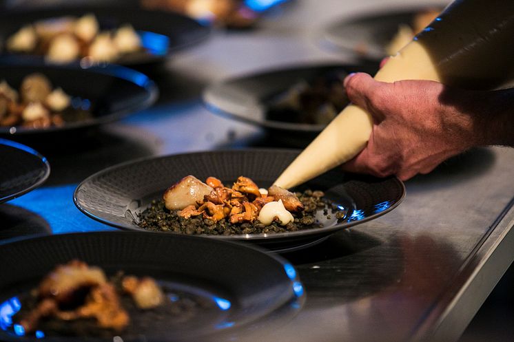 Utstickarpriset 2017 - Tempeh, rökt rotselleripuré, bakad jordärtskocka, kantareller, rödbetsblad, Abisko · 