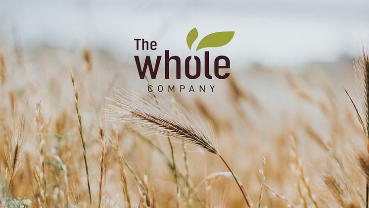 The-Whole-Company