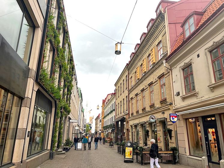 Bihotell och växtvägg Södra Larmgatan