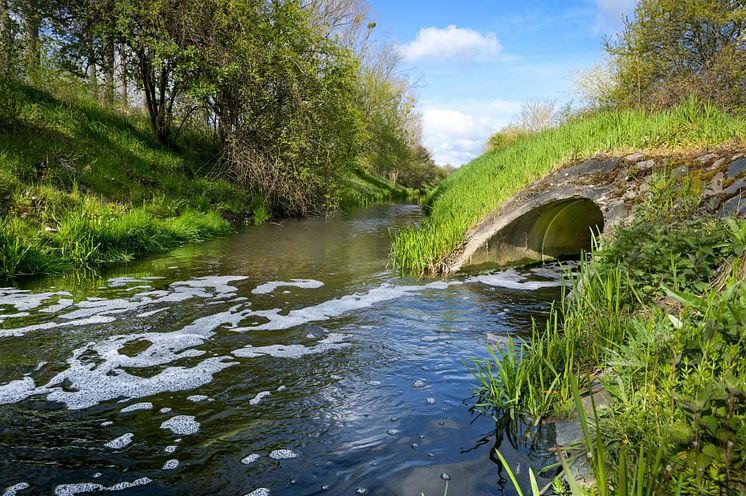 Veolia Schönebeck Elbe_Vorfluter