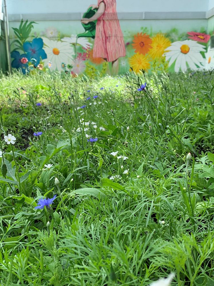 Flickan på målningen och blommorna omkring henne flyter samman med den nylagda ängen nedanför