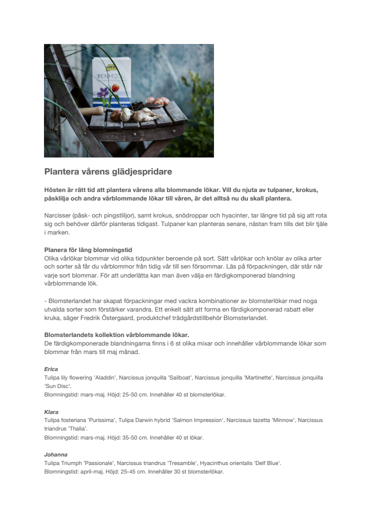 Plantera vårens glädjespridare 