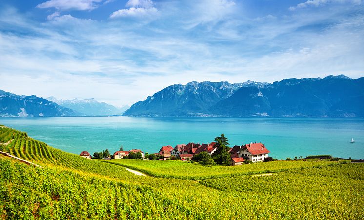 Genfersee mit den Weinterrassen von Lavaux 