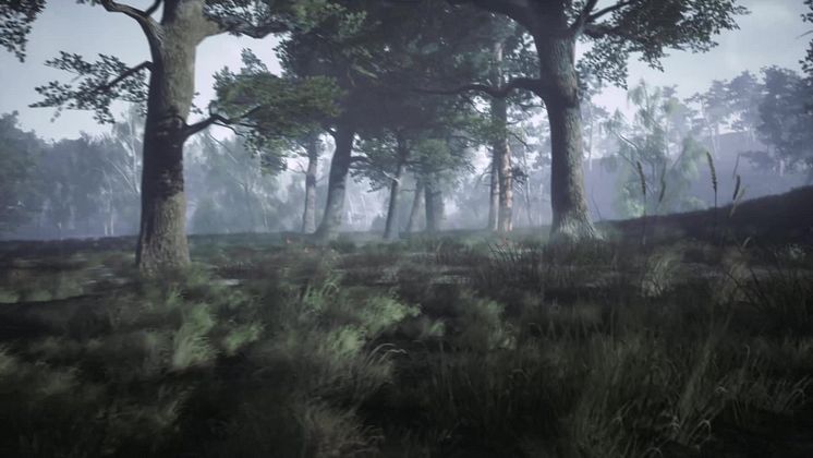 Fear the Wolves - E3 Trailer