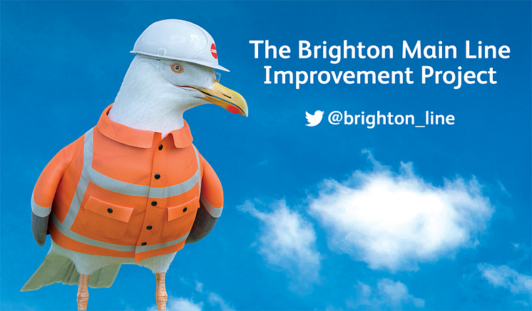 Hard hat seagull Brighton Main Line Improvement Project