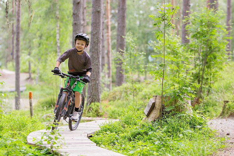 Järvsö MTB Bike Camp. Foto Destination Järvsö