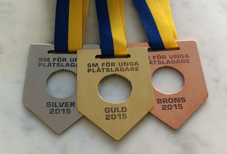 SM för unga plåtslagare, medaljer 2015