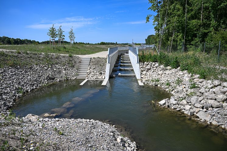 20230630_Fischwanderhilfe Donauwörth