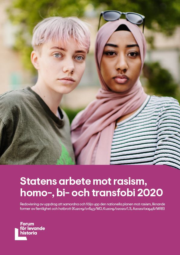 Bild rapport statens arbetet mot rasism, homo-,  bi- och transfobi.jpg