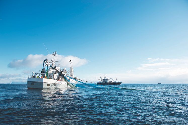 Norwegische Meeresfrüchtexporte nehmen mehr als doppelt in den vergangenen 10 Jahren zu