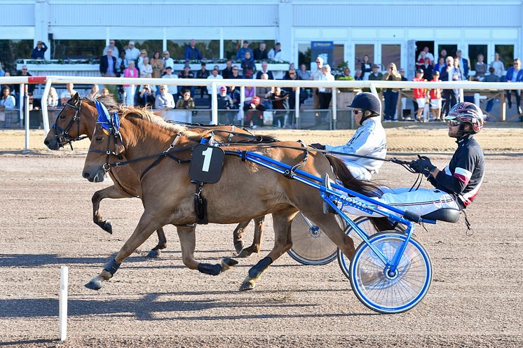 Hästarnas Mästare på Jägersro - Gretzer och Kolgjini