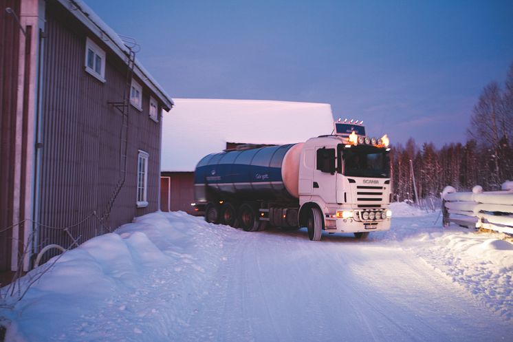 Norrmejeriers mjölkbil hämtar mjölk en vintermorgon