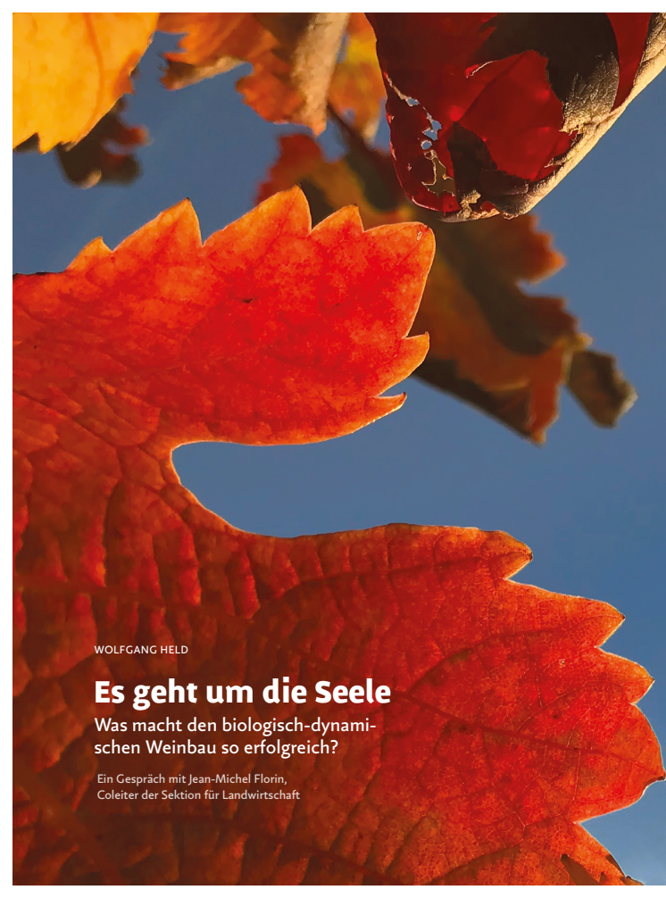 Interview mit Jean-Michel Forin, Herausgeber des Buches ‹Biologisch-dynamischer Weinbau› (‹Das Goetheanum› Nr. 43/2017)