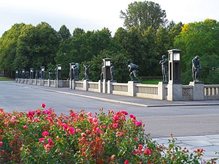 Vigelandsparken_Broen og roser