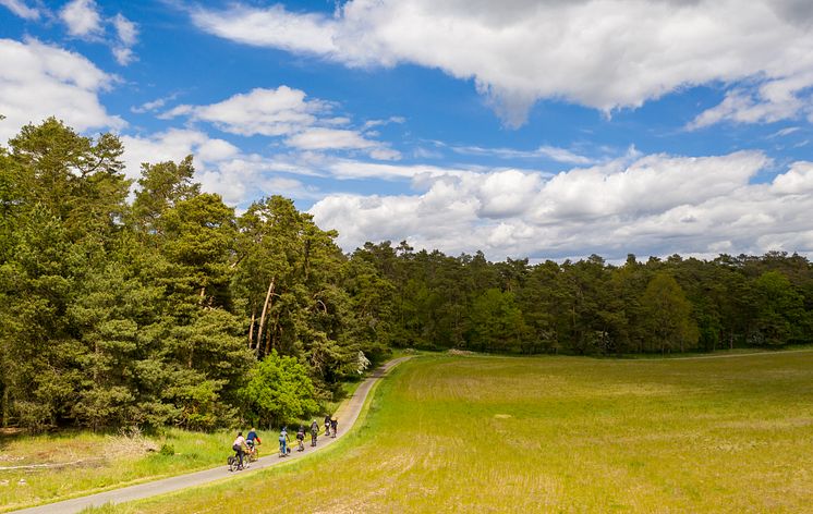 Radfahren in Brandenburg 