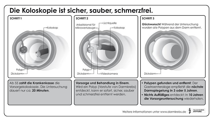 Wie funktioniert die Darmkrebsvorsorge mittels der Koloskopie?