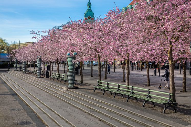 Nolasoffor, Kungsträdgården Stockholm.