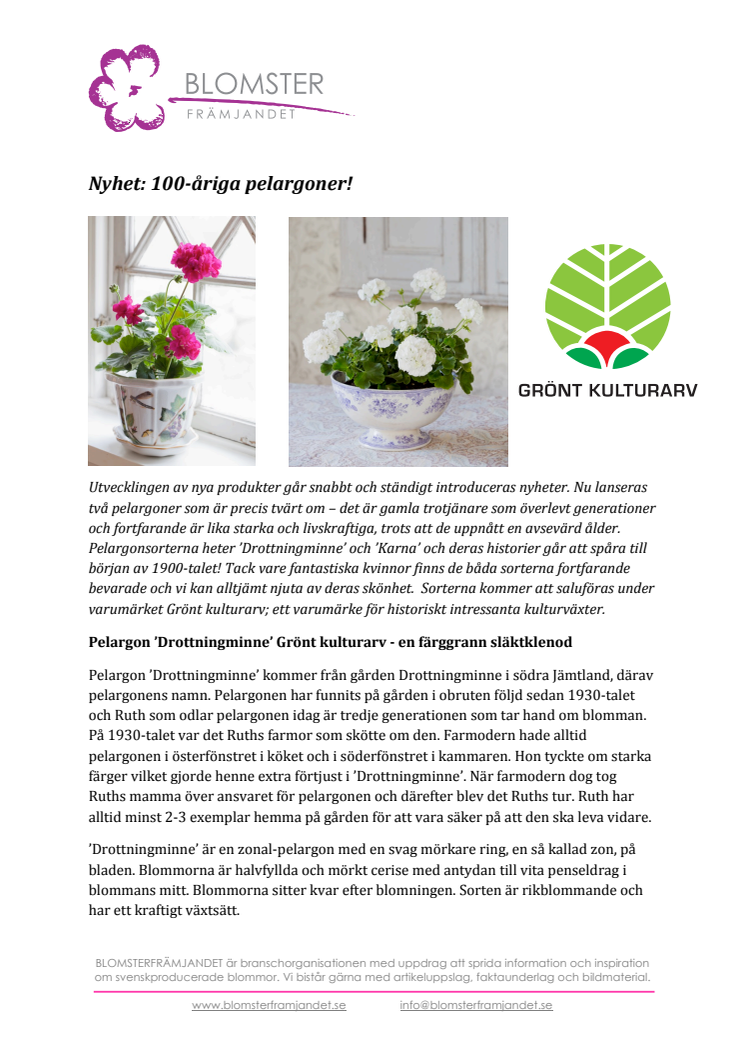 Nyhet: 100-åriga pelargoner!