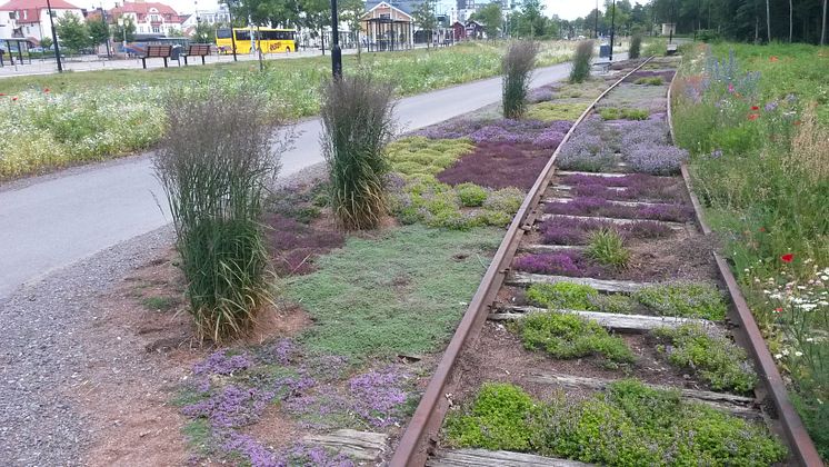 Tågstationen i Nybro