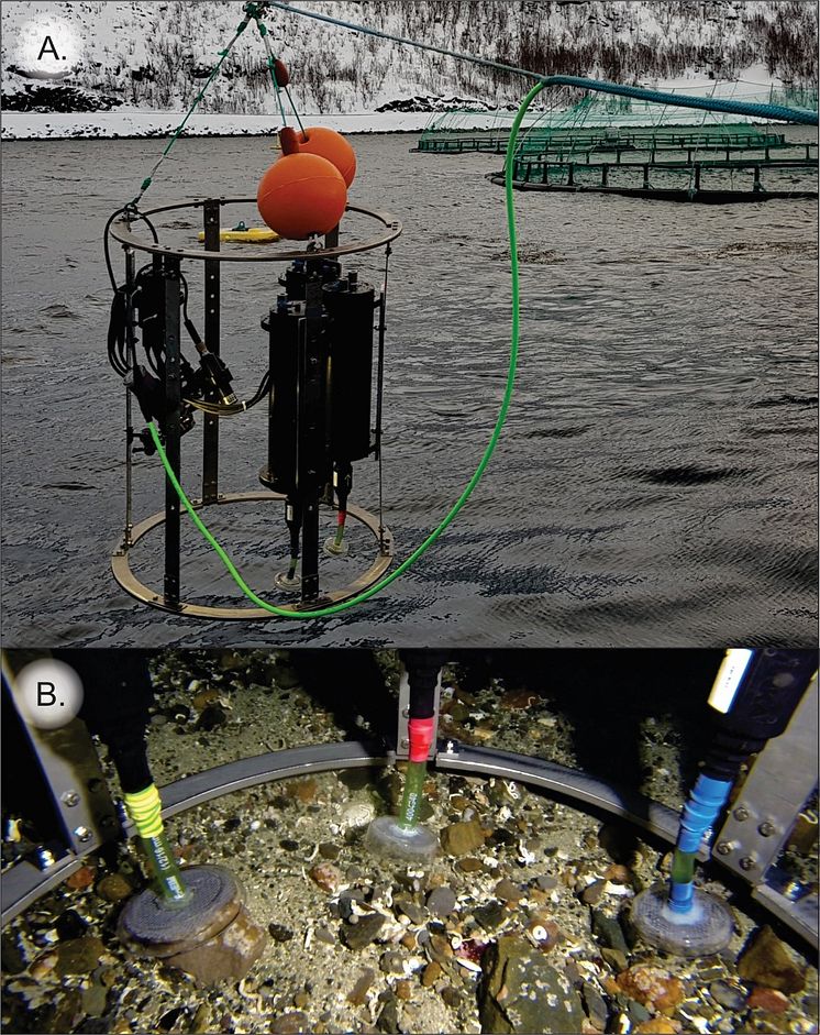 En Substrate- independent benthic sampler (SIBS)