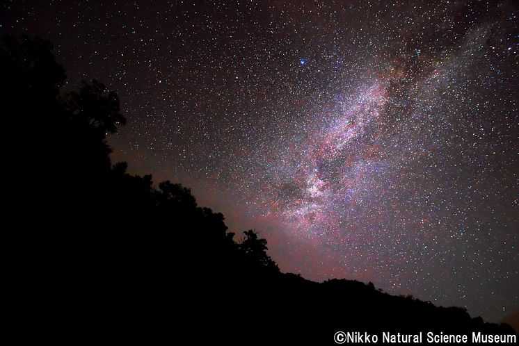 Stars above Senjogahara