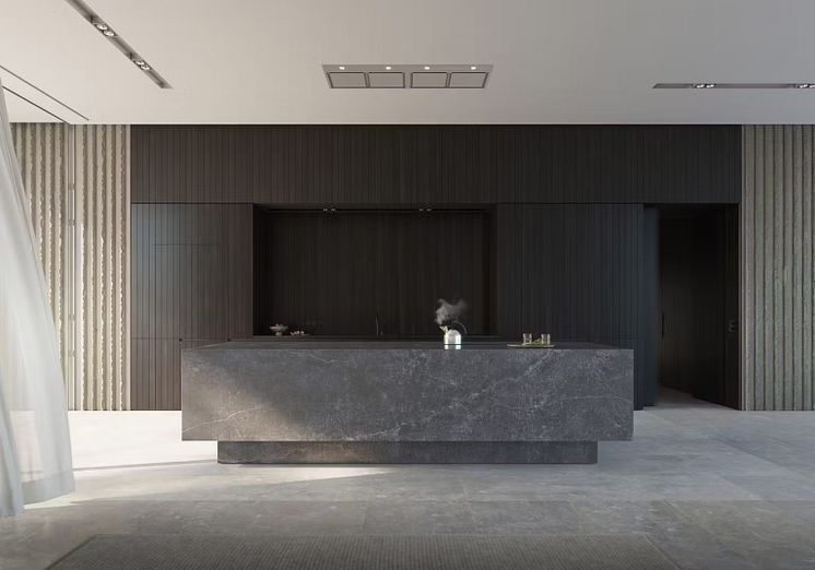 Dekton Laos in the Essential Induction- Photo Cred Gaggenau (1).JPEG