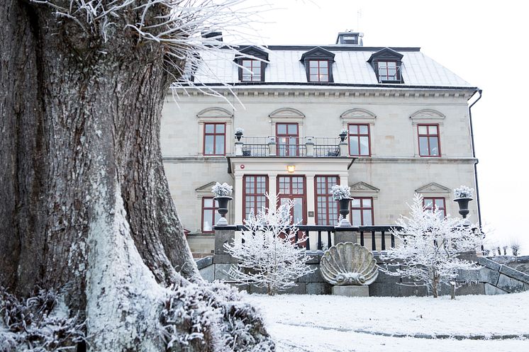 Görvälns Slott Fasad Vinter