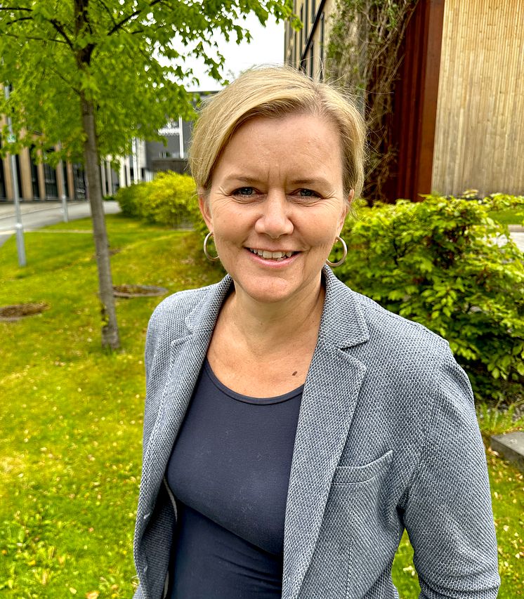 hildelandsem.jpg