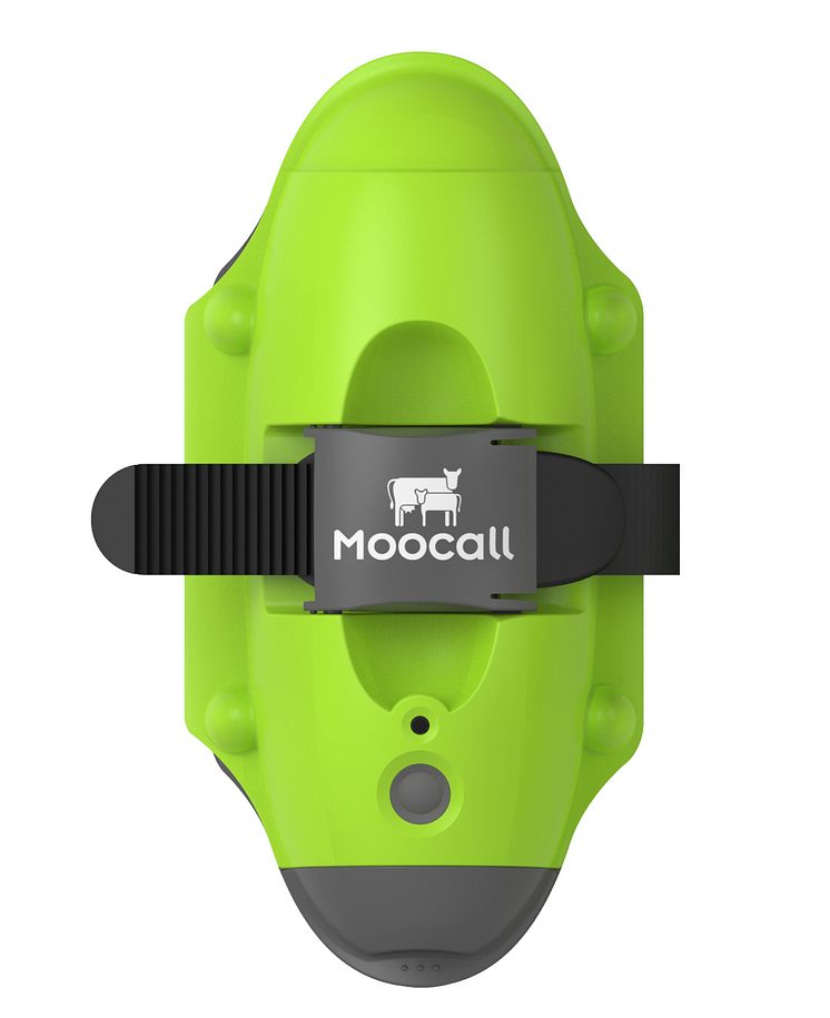 Moocall_Moocall Ltd, Elmia Lantbruk Innovation Award 2016, Guld