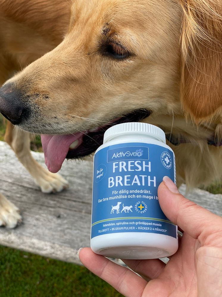 AktivSvea Fresh Breath