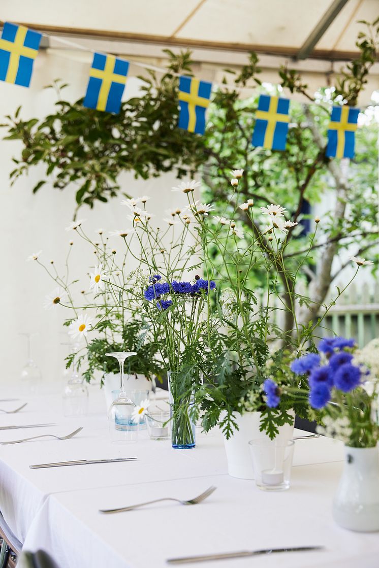 Sommarfest med Sofieromargeriter_högupplöst