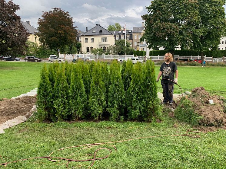 Per Kristian Nygård - Formenes økonomi / i arbeid med skulptur av tuja