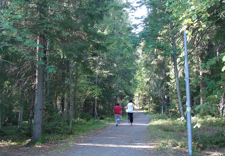 Tätortsnära skog