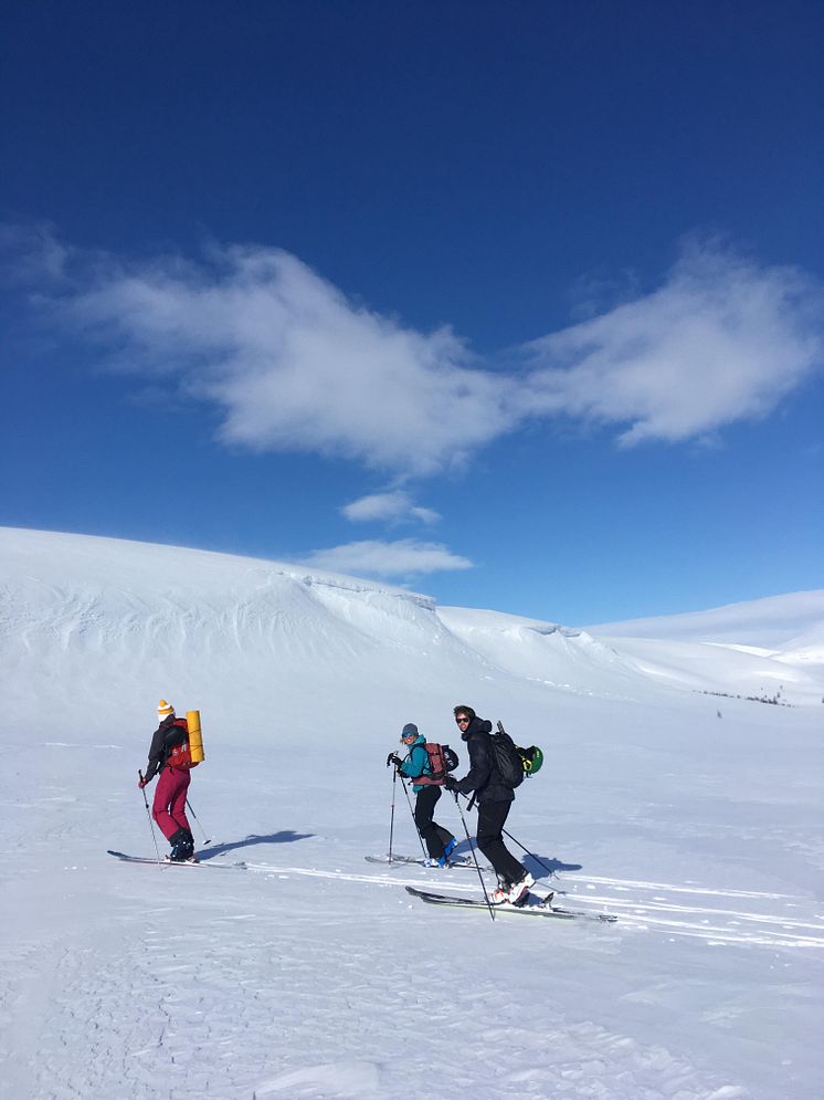 Fäbodflytet foto Anna Östberg.JPG