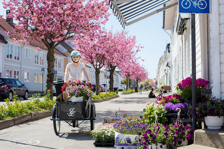 Posebyen, old part of Kristiansand- Photo - Adam Read - Visit Sørlandet.JPG