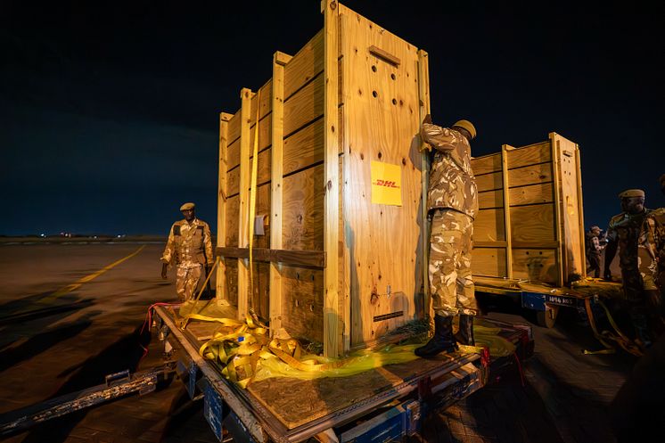 mountain-bongo-custom-built-crates.jpg