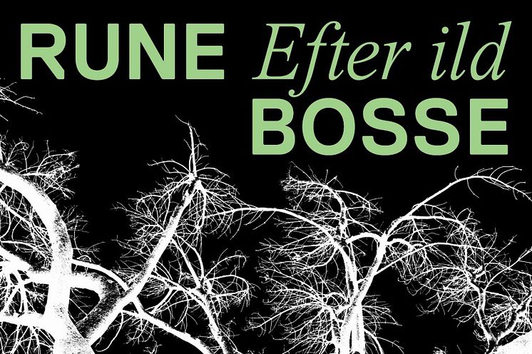 Rune Bosse_Efter Ild_Header