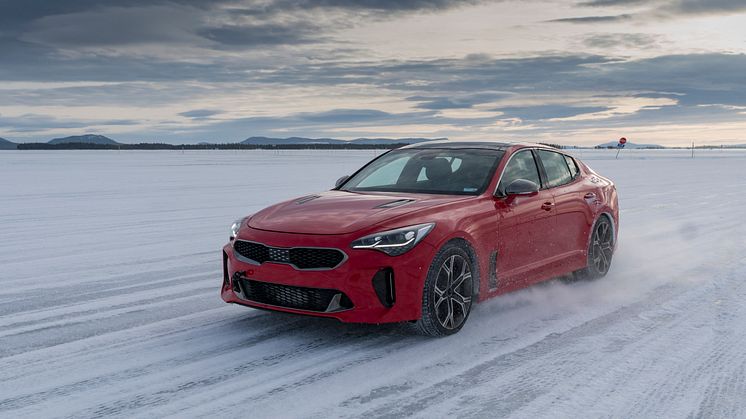 KIA Stinger Arjeplog36