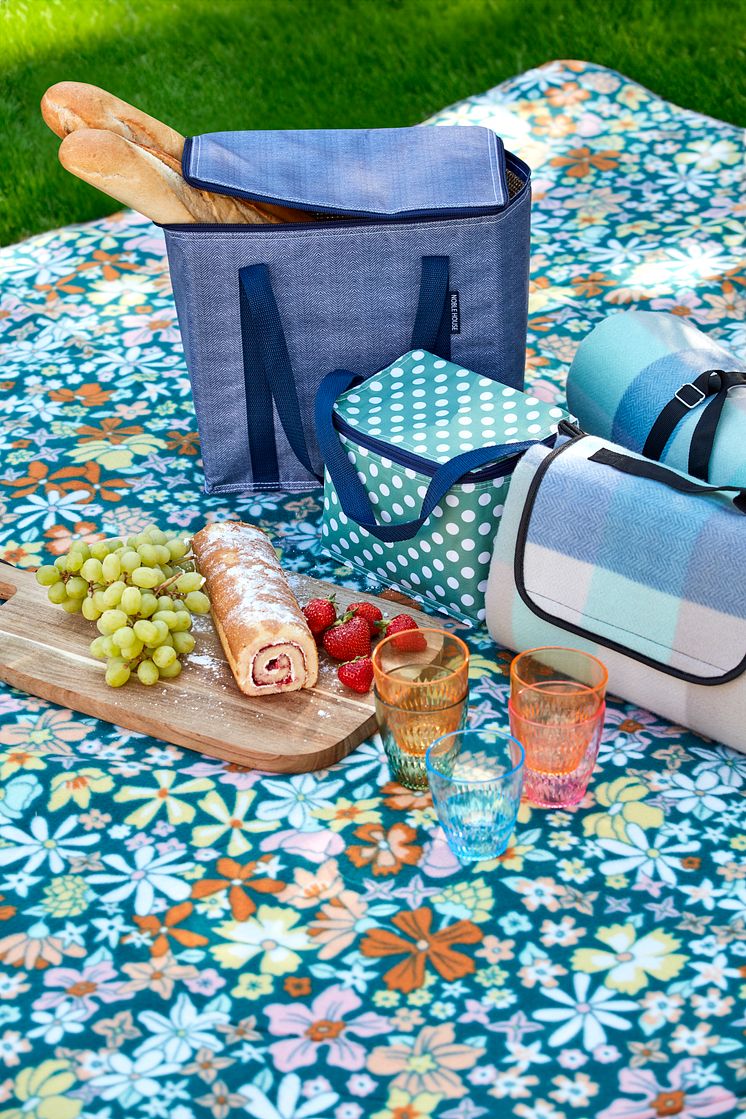 870340-58_1 Picnic blanket XXXL.jpg