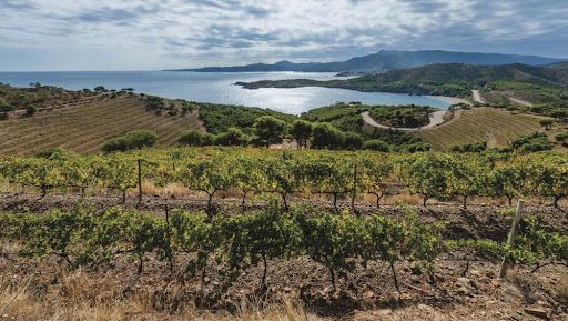 Finca Garbet - Grup Peralada (Costa Brava)