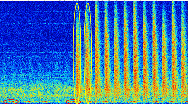 Seismic shooting + fin whale